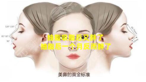 抽脂吸脂后又胖了 抽脂后一个月反而胖了